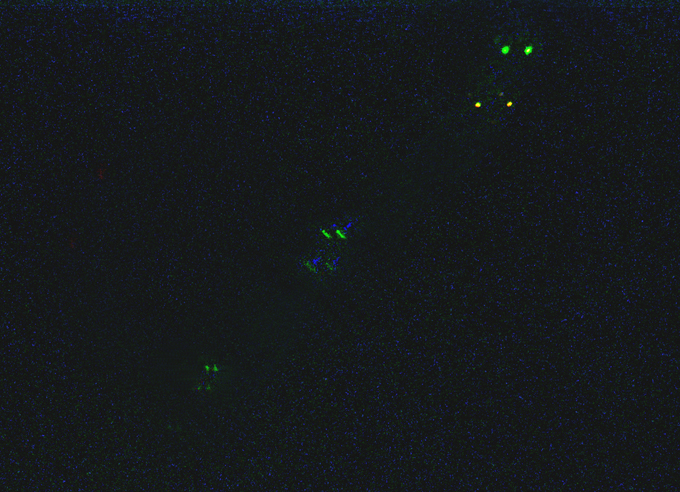 Green Fireball UFO formation
